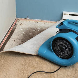 The Effects Of Water Damage On Carpets: What You Need To Know